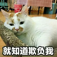 有哪些可以哄女朋友的表情包？ - 知乎 : 别怕我来了！！！！本来想着让男朋友 @小张也很懒 来答题，算了，还是我们这个仙女儿来叭，有些是男/女通…