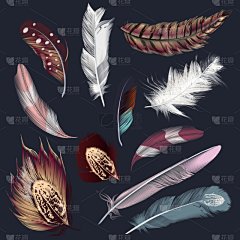 波西米亚风,式样,翎毛,白色,创造力,华丽的,闪亮的,高雅,干净,收集