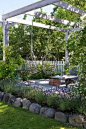 The rocks  lavender with mosquito plants in front of the deck. With a few vining plants.