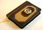 Gold Lion Leather Journal by McGovernArts