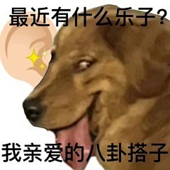 表情包