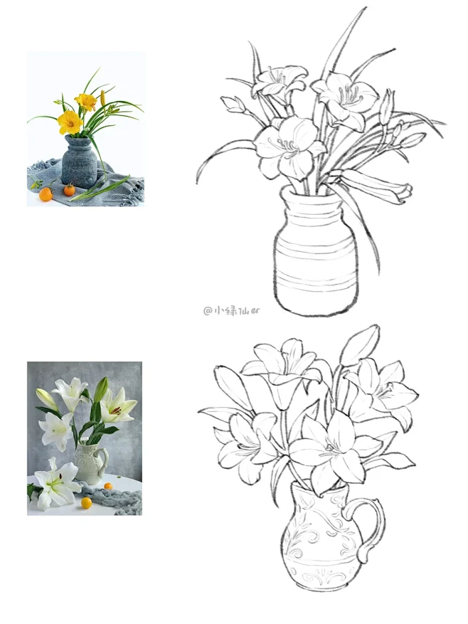 植物花卉速写小合集 - 小红书