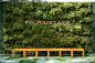 <p> A hashtag decorated a wall of greenery and was designed to inspire guests to share photos on social media.</p>