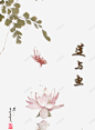 莲与鱼 平面电商 创意素材