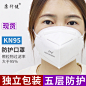 KN95顺丰包邮 口罩一次性n95口鼻罩囗透气防飞沫防尘防护独立包装-tmall.com天猫