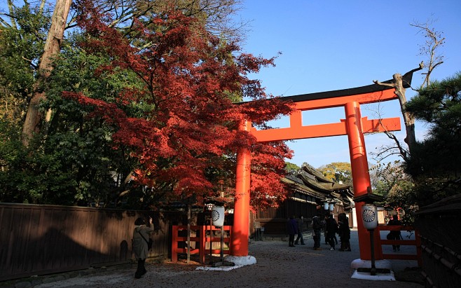 京都下鸭神社的红叶壁纸1920x1200...