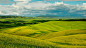 General 3840x2160 landscape nature grass