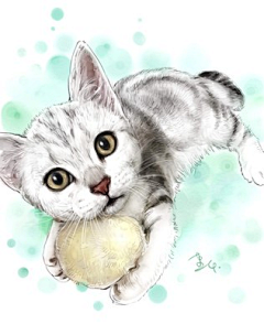 8DgjJELe采集到猫咪