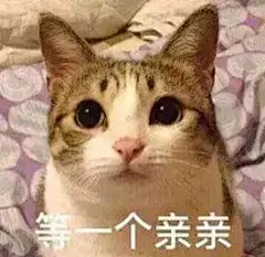 猫咪表情包_百度图片搜索
