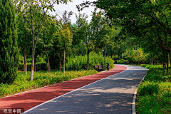 一只红鲸鱼-采集到道路景观/沥青路