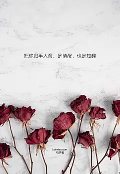 把你归手人海，是清醒，也是知趣 | 句子喵，分享触动人心的美妙句子，带有句子的图片壁纸，带有句子的桌面壁纸，带有句子的手机壁纸。 : 把你归手人海，是清醒，也是知趣
