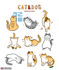 窗户 蓝天白云 可爱猫咪 萌宠插图插画PSD42 萌宠动物 家庭宠物