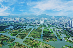 牛俊生采集到Wenzhou | 温州