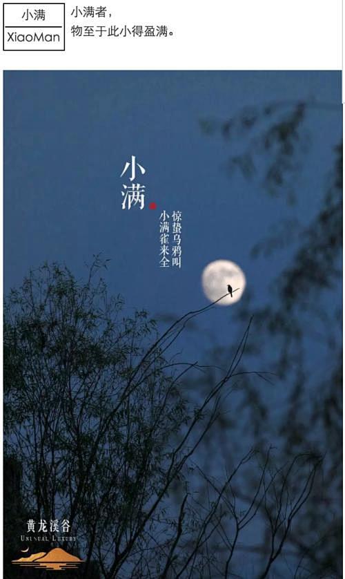 节气海报节日微信地产广告