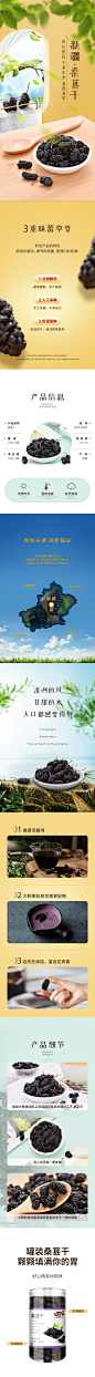 桑葚干详情