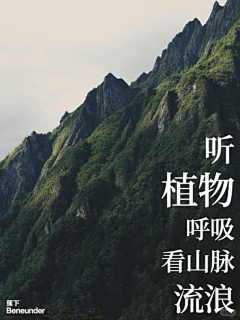 财神爷的心尖尖嘻嘻采集到户外