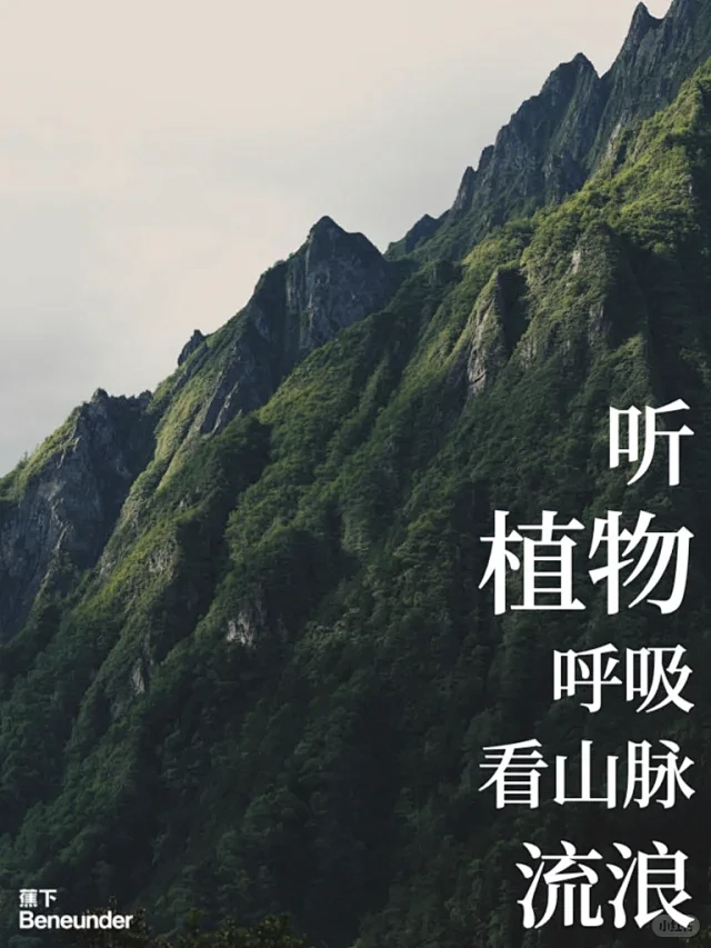 蕉下Beneunder - 小红书