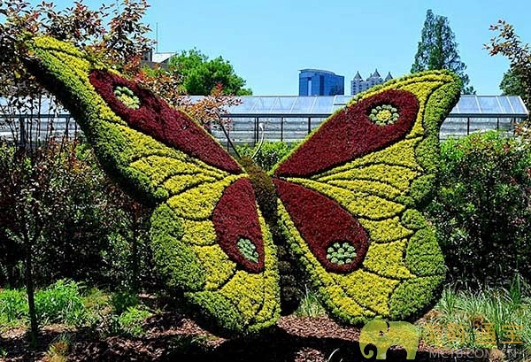 亚特兰大植物园令人惊讶的巨型植物雕塑商业...