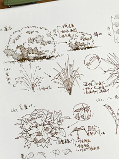 30岁之前能退休吗采集到【画风】钢笔淡彩