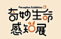 奇妙生命感知展