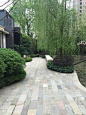 风起的地方。。。 [http://56359464.qzone.qq.com]