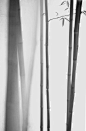(1036) Pinterest