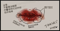 anchelin采集到五官