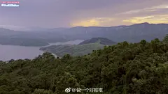 BBc的纪录片简直就是壁纸合集，《捕猎》里每个画面都是一副画，怎么能好看成这样子呢 ​​​​