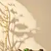 黄色背景 (30)
