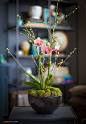 How to Style an Orchid Plant: 