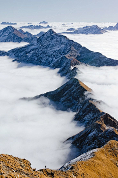 不曾忘记de年华采集到场景