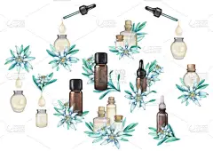 水彩画精油瓶系列，装饰有水彩画花叶