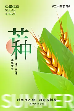 芒种节气夏季夏天你好麦子宣传海报