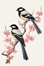 中国风国风花朵动物植物鸟类喜鹊水墨画插画