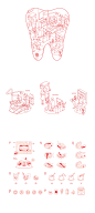牙齿  口腔插图设计师be:https://www.behance.net/zhanghandesign