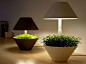 Product Collection 007 桌面植物灯系列 为你的生活添“光”加“色”