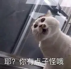 #表情包无水印##搞笑表情包#

和大家也认识挺久了，也没给过大家什么福利
不如这样吧……
评论里留下你想要的东西
然后…………
你们自己攒钱去买，我监督你们！ ​​​​