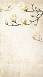 中国风玉兰花枝质感古典H5背景素材，来自爱设计http://www.asj.com.cn