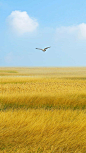  __图与素材   #率叶插件，让花瓣网更好用_http://ly.jiuxihuan.net/?yqr=undefined# _B-背景_T2021820