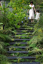 玩转景观高差 | 「台阶」篇：立体花园与自然之境