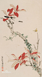 Yu Feian(于非闇) ， 于非闇（1889年3月22日—1959年7月3日）中国画家。原名于魁照，后改名于照，字仰枢，别署非闇，又号闲人、闻人、老非。原籍山东蓬莱，出生于北京，自幼得书画家传。1912年入师范学校学习，后任教于私立师范校、私立华北大学美术系。兼任古物陈列所附设国画研究馆导师。1935年起专攻工笔花鸟画。1949年后历任中央美术学院民族美术研究所研究员、北京中国画研究会副会长、北京画院副院长。作品有《玉兰黄鹂》、《丹柿图》、《牡丹鸽子》等。著有《非闇漫墨》、《艺兰记》、《中国画颜料研究