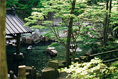 Linope~采集到生态泡池