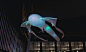 风靡全球の里昂灯光节12.8空降魔都, <wbr>巨型飞鱼月亮蒲公英…