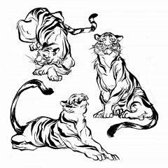 阿砍采集到怪/兽