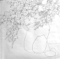 花鸟