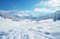 雾凇森林冬季雪景雪松风景摄影图