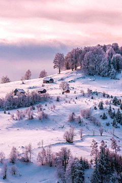 blue然采集到雪景