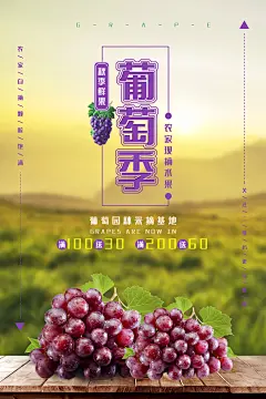 现摘新鲜水果葡萄果蔬宣传活动海报
