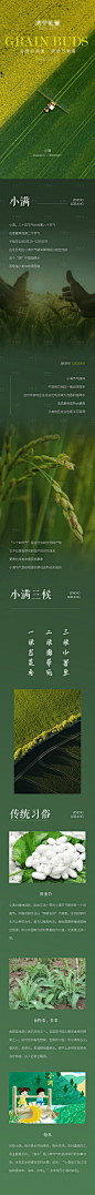 小满长图-源文件