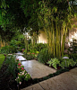 Landscape architecture - tropical Garden